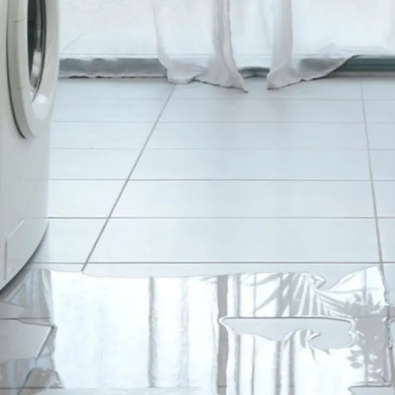 Appliance Leak Cleanup in Sullivan City, TX