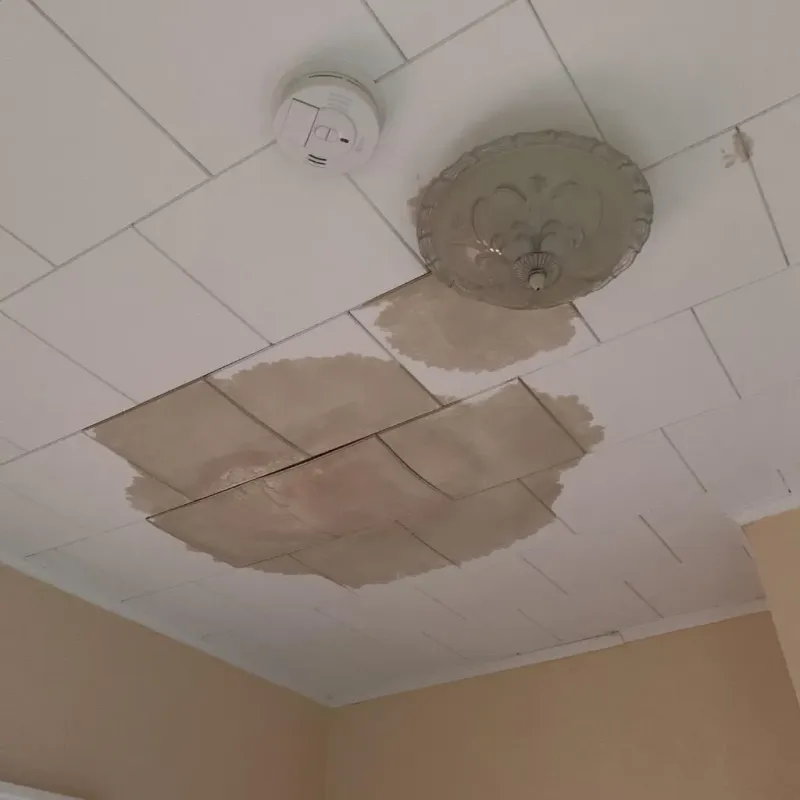 Ceiling Water Damage Repair in Sullivan City, TX